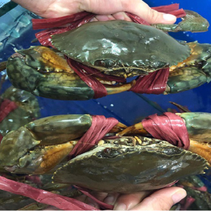 Cua thịt Cà Mau dây nhỏ - Loại 1 (size 2 con/kg)