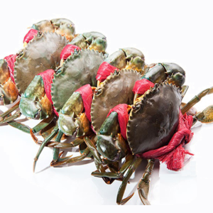 Cua thịt Cà Mau dây nhỏ - Loại 1 (size 4 con/kg)