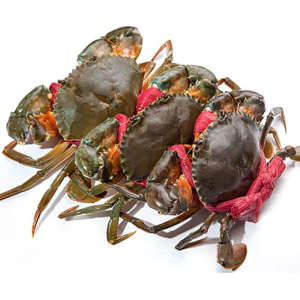 Cua thịt Cà Mau dây nhỏ - Loại 1 (size 3 con/kg)