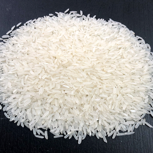 Gạo ST21 Đặc biệt An Giang