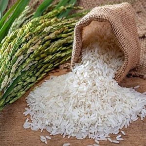 Gạo ST21 Đặc biệt An Giang