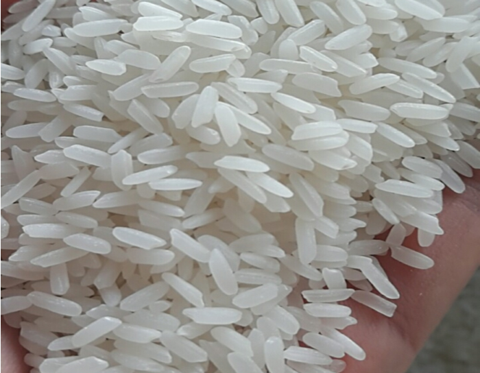 Gạo thơm Đài Loan (Đông Xuân 01 vụ)