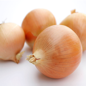 Hành Tây Đà Lạt