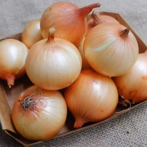 Hành Tây Đà Lạt