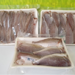 Khô Cá Đù một nắng (1 khay 500g, 1kg 02 khay)