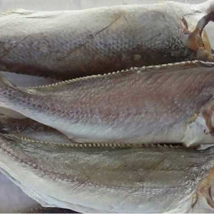 Khô Cá Đù một nắng (Loại 15-20 con/kg)