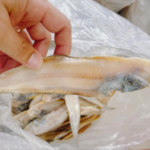 Khô Cá lưỡi trâu (loại nhỏ)