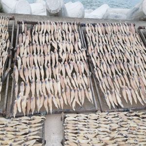 Khô Cá lưỡi trâu (loại nhỏ)