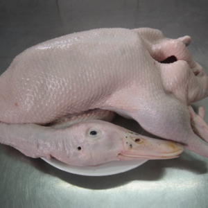 Vịt bầu nguyên con (2,2kg - 3kg/con)
