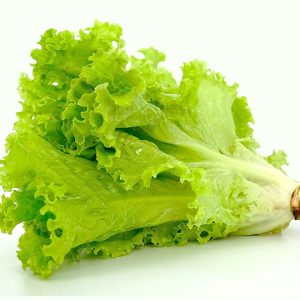 Xà Lách Xoăn sạch