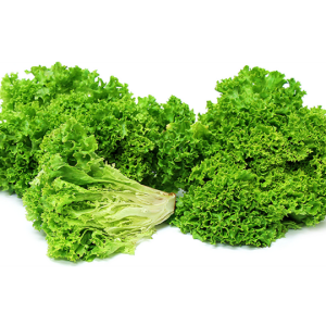 Xà Lách Xoăn sạch