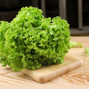 Xà Lách Xoăn sạch