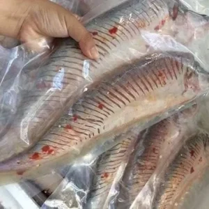 Cá Thác Lác nguyên con rút xương (3 con/kg)