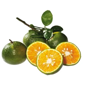 Cam Sành - Loại V.I.P