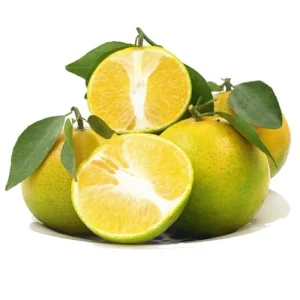 Cam Xoàn miền Tây