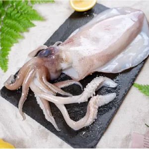 Mực Nang tươi (size 500g - 1kg/con)