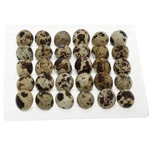 Trứng Cút (vỉ 30 trứng)